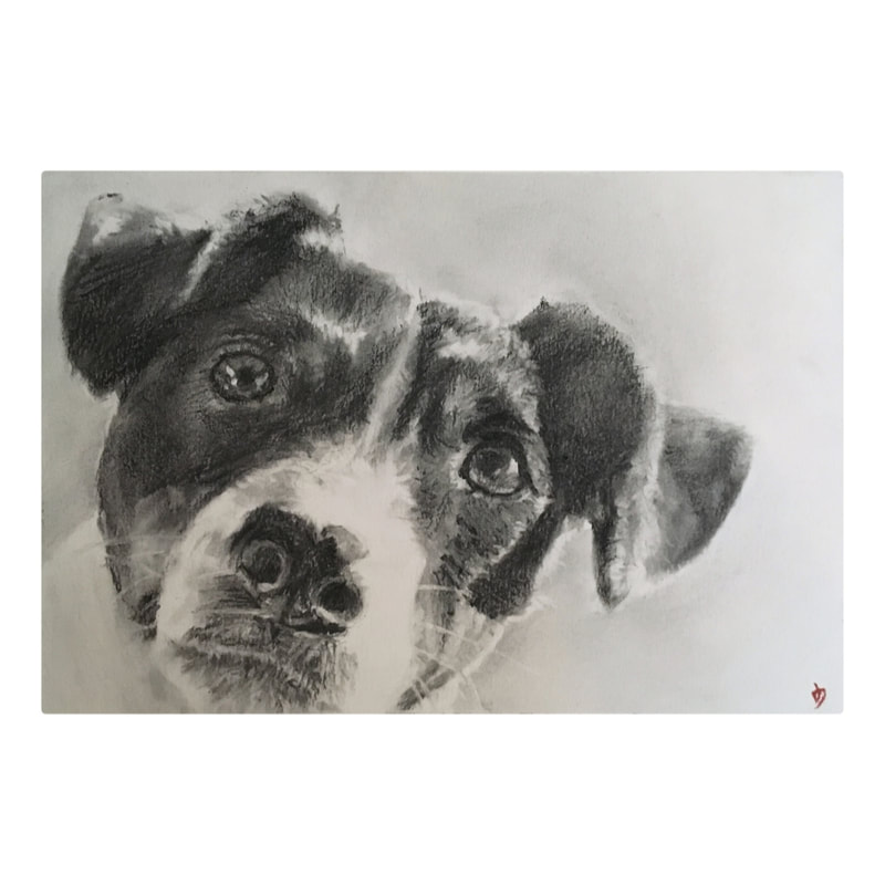 Darren James art artist charcoal dog portrait